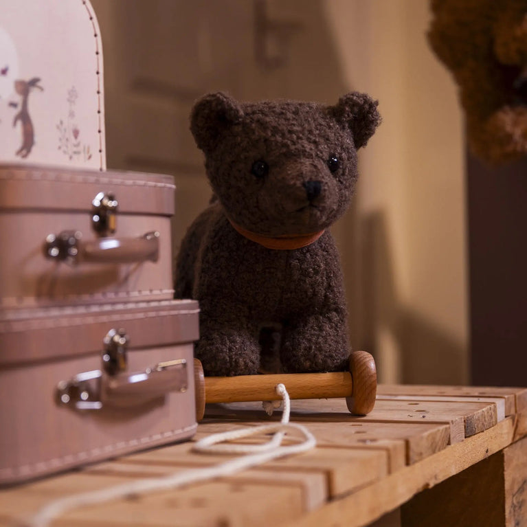 Raoul, l'Ours à Tirer