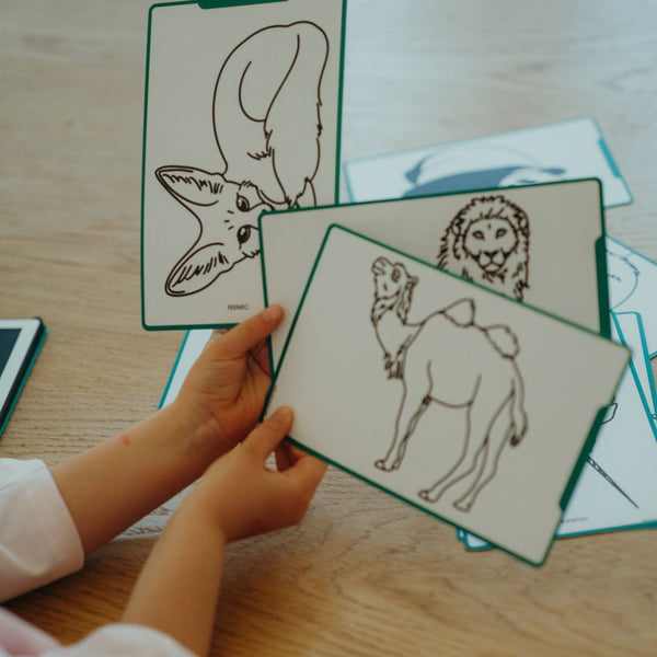 KIDYDRAW-MINI - Tablette à dessin Animaux autours du monde