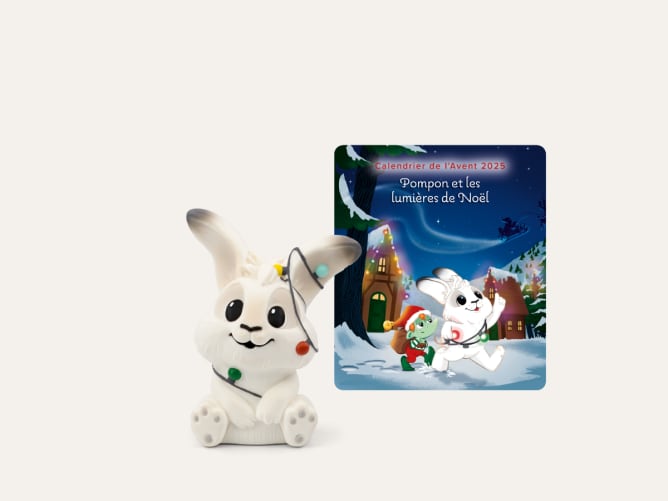 Pompon Et Les Lumières De Noël Calendrier De L'Avent