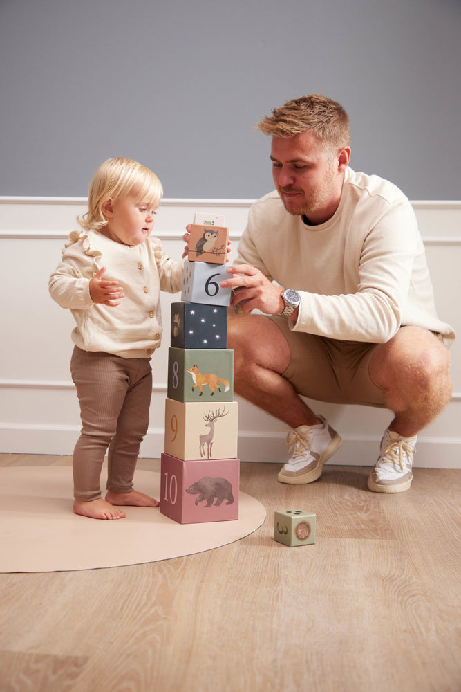 Cubes à empiler – Animaux nordiques