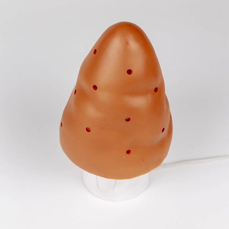 lampe champignon, terra PM