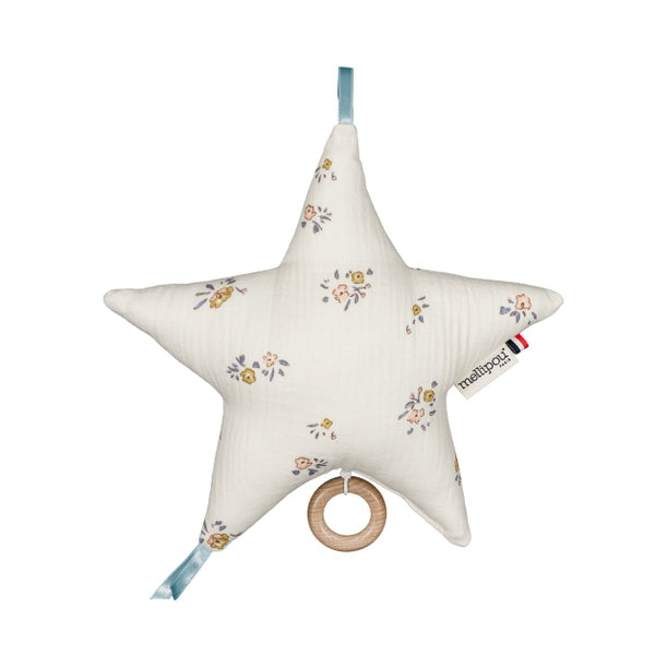 Etoile musicale - Harry Potter