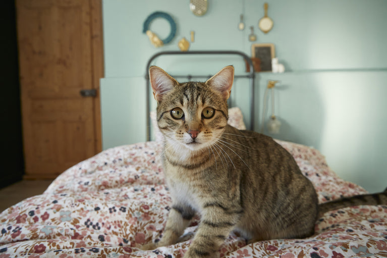 Housse de couette 140x200 - Capucine pampa