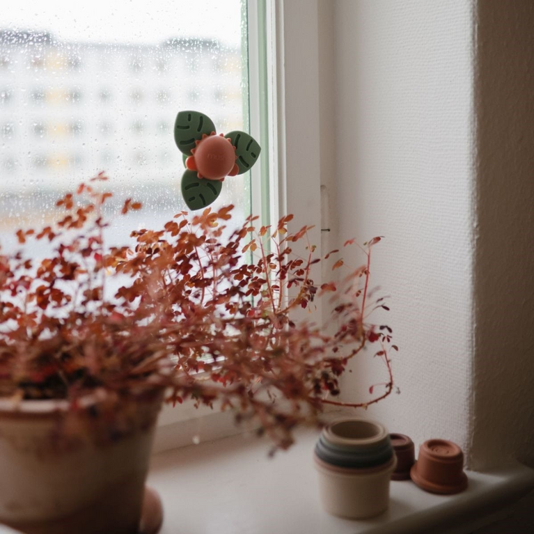 Jouet pour bébé avec ventouse