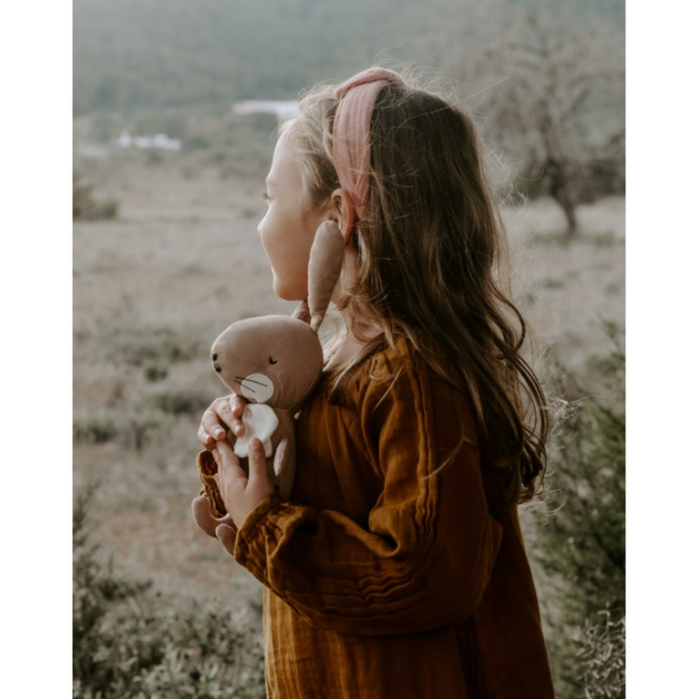 Lapin dans boîte cadeau - Rose