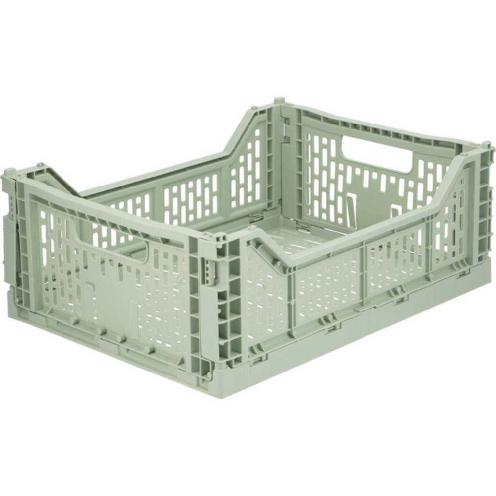 Caisse pliante - Sage Medium