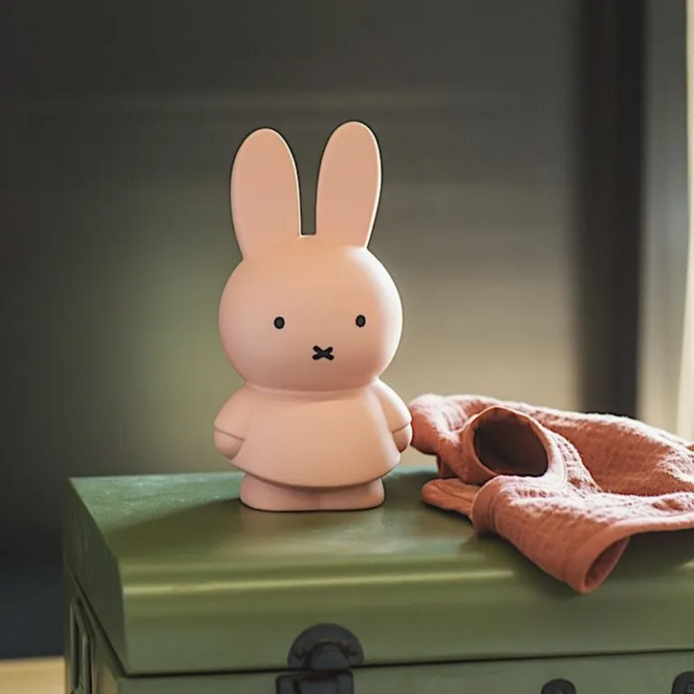 Tirelire miffy - Poudre