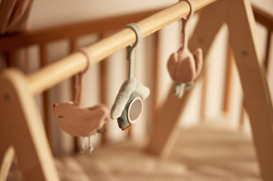 Jouets pour Arche d'éveil - Lovely Birds