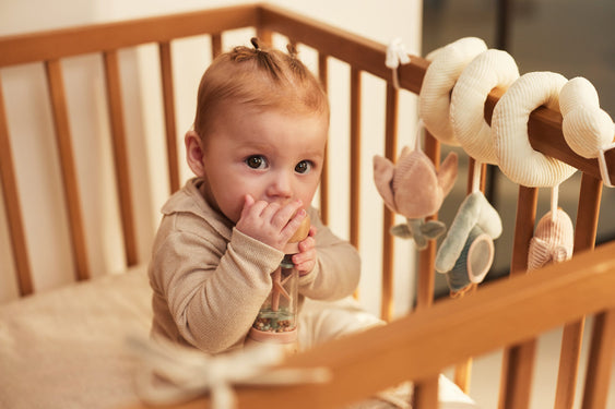 Bâton de Pluie en Bois Lovely Birds