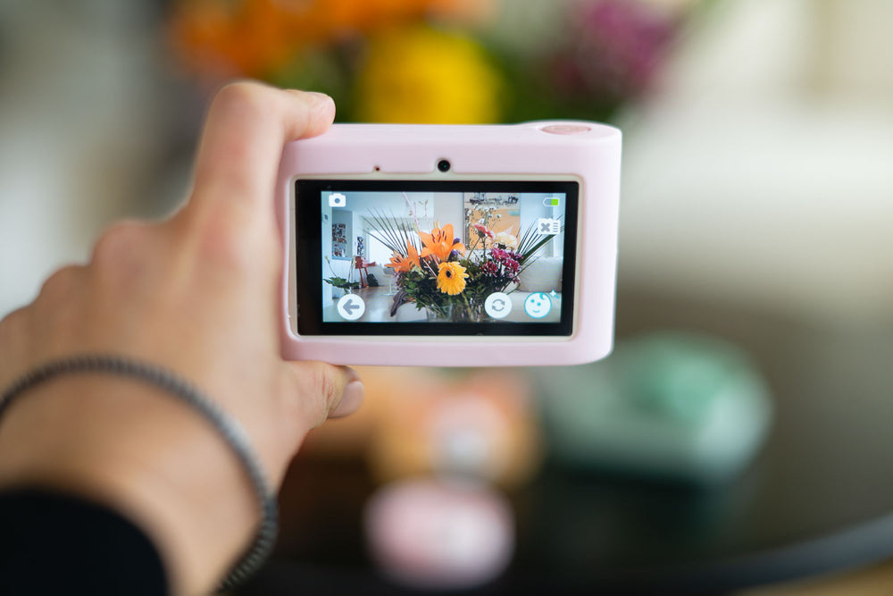 Appareil photo Zoo urbain - Lion