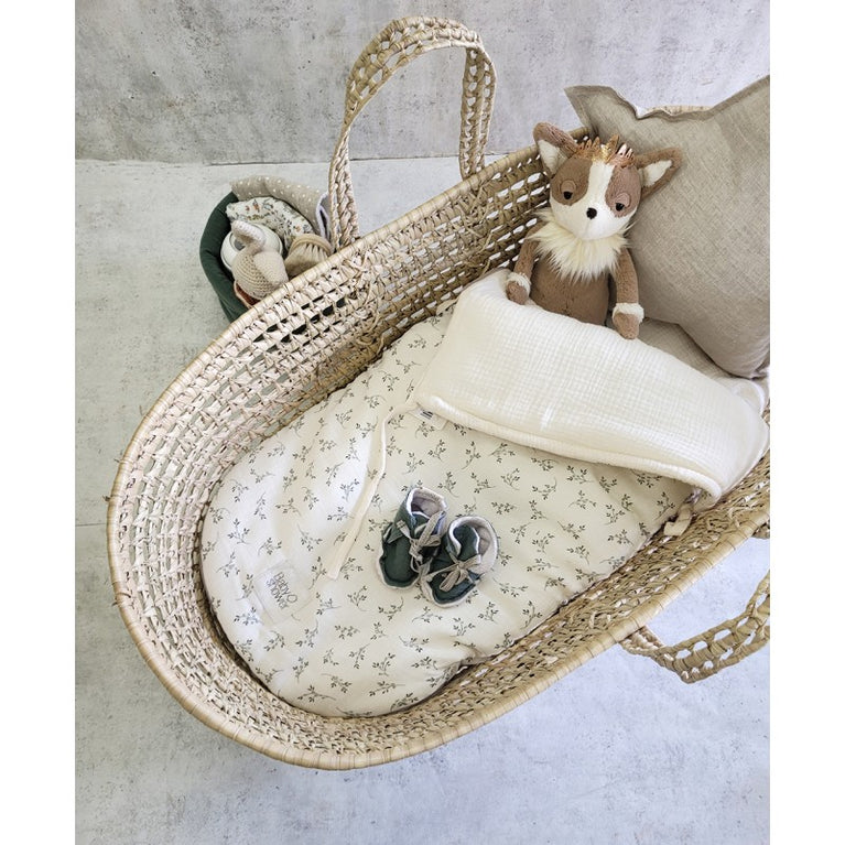 Nid d’ange fleur d’olivier