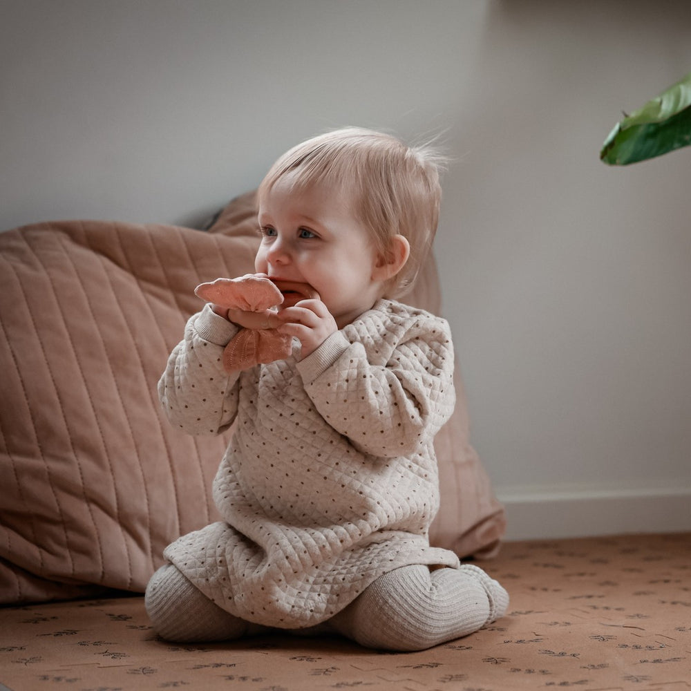 Anneau de dentition et d'activité - Papillon