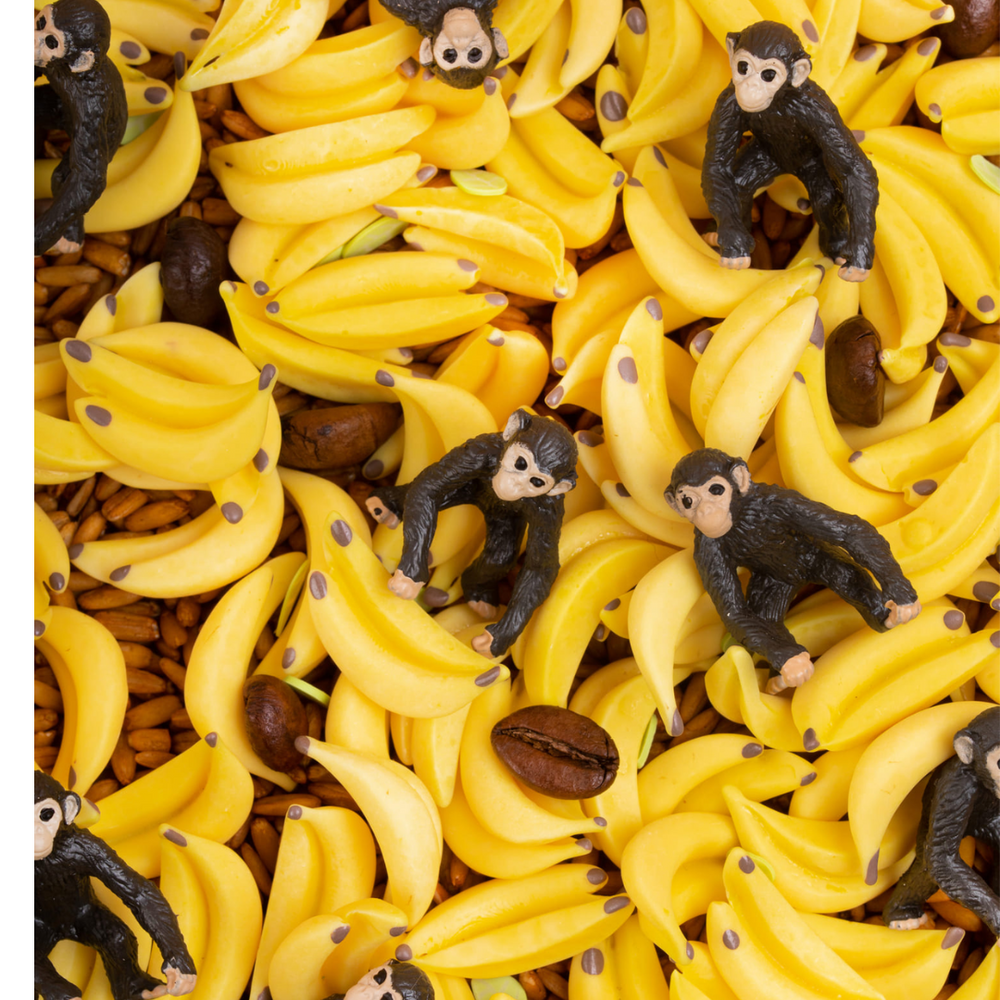 Bouteille sensorielle singe