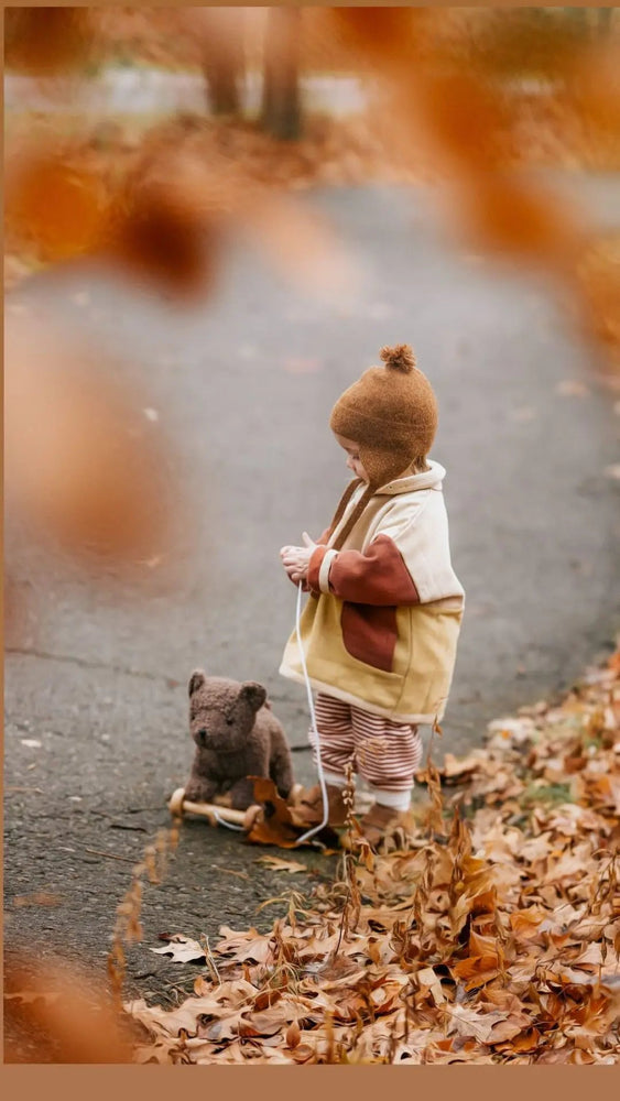 Raoul, l'Ours à Tirer