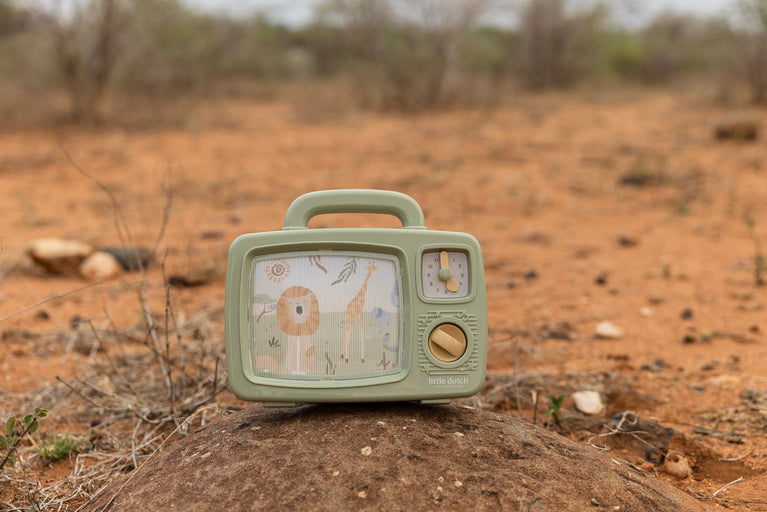 Télévision musicale - Safari Friends