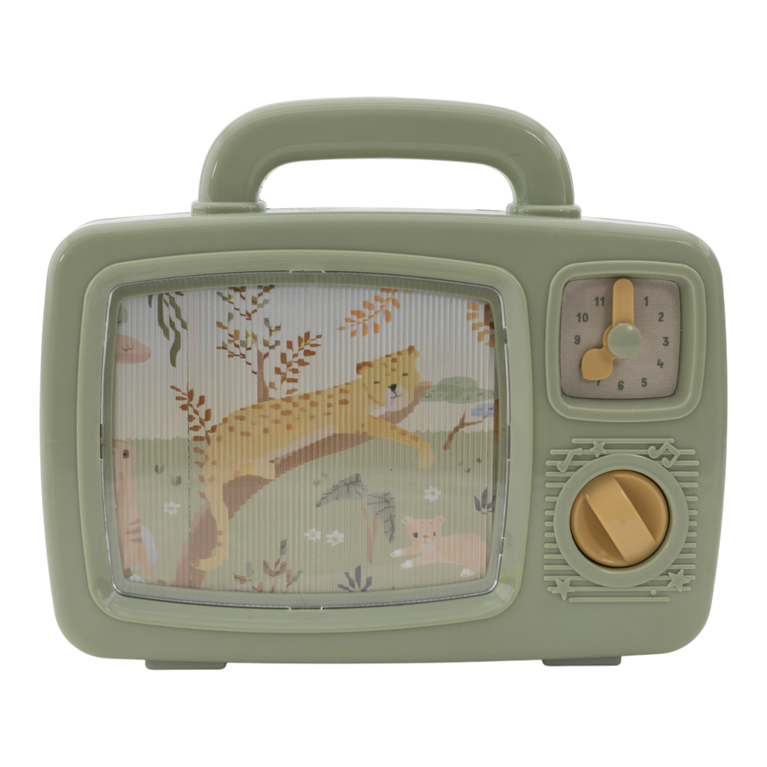 Télévision musicale - Safari Friends