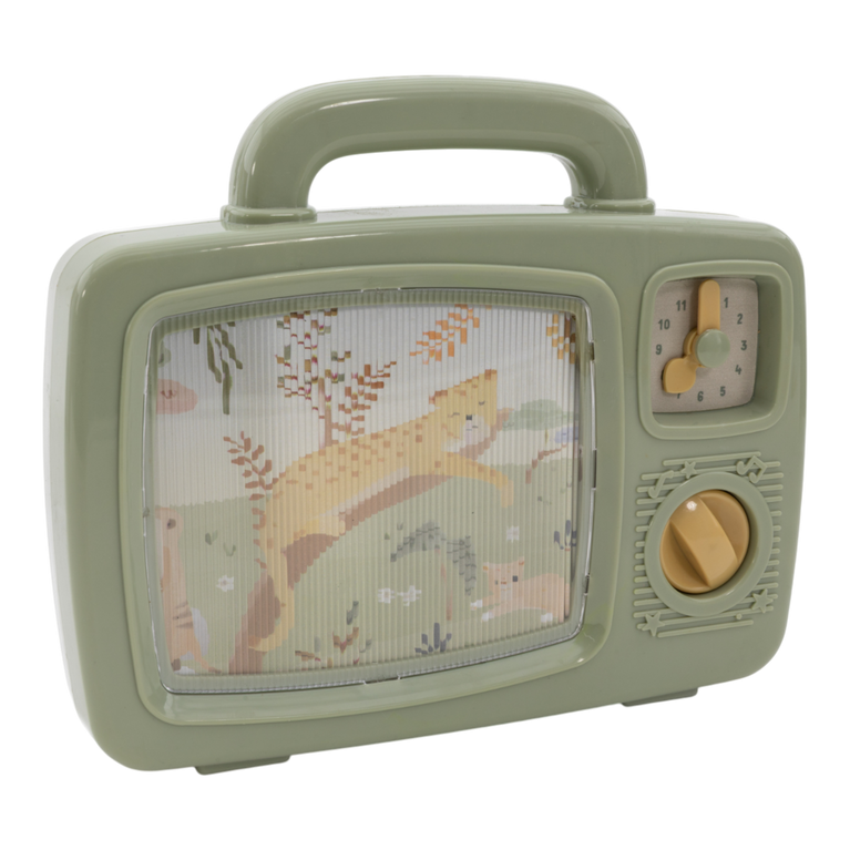 Télévision musicale - Safari Friends