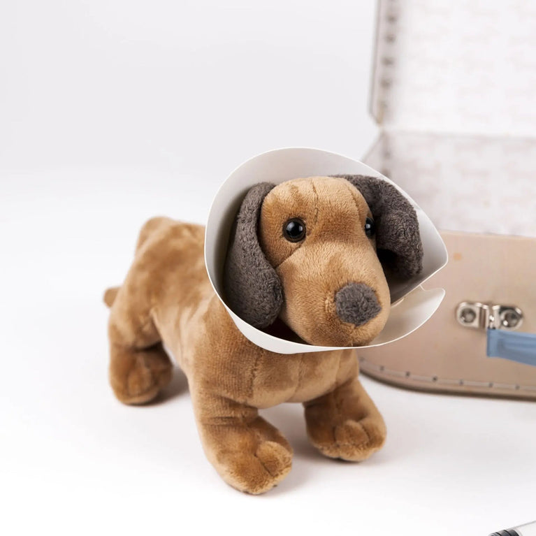 Mallette de vétérinaire Edward le chien
