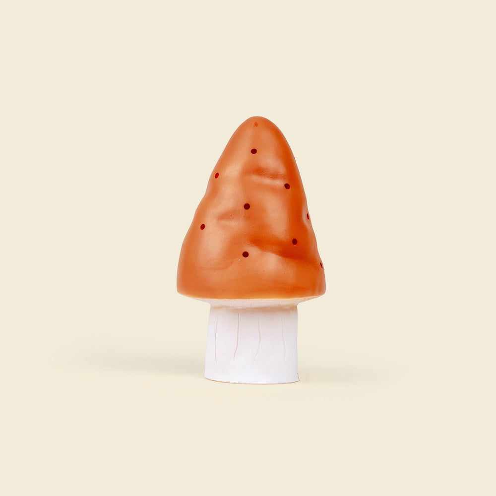 lampe champignon, terra PM