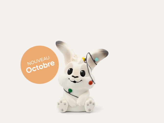 Pompon Et Les Lumières De Noël Calendrier De L'Avent