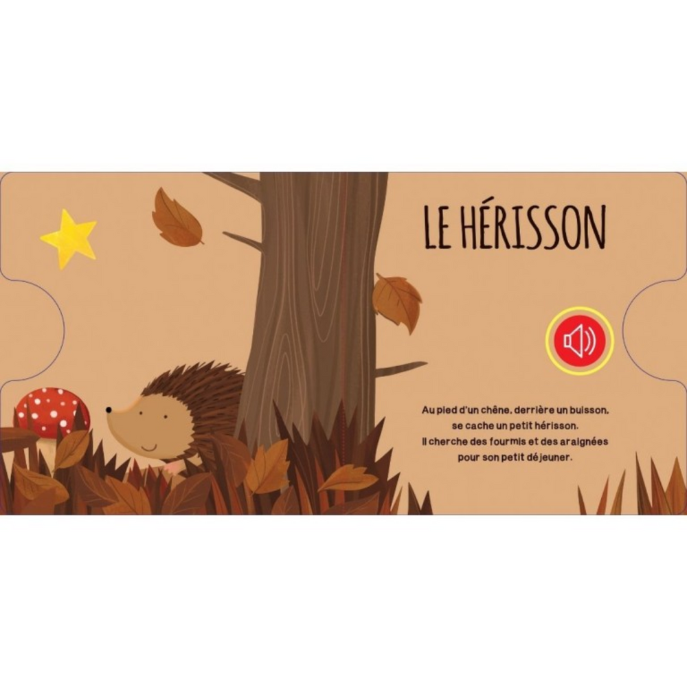 Livre sonore "la forêt"