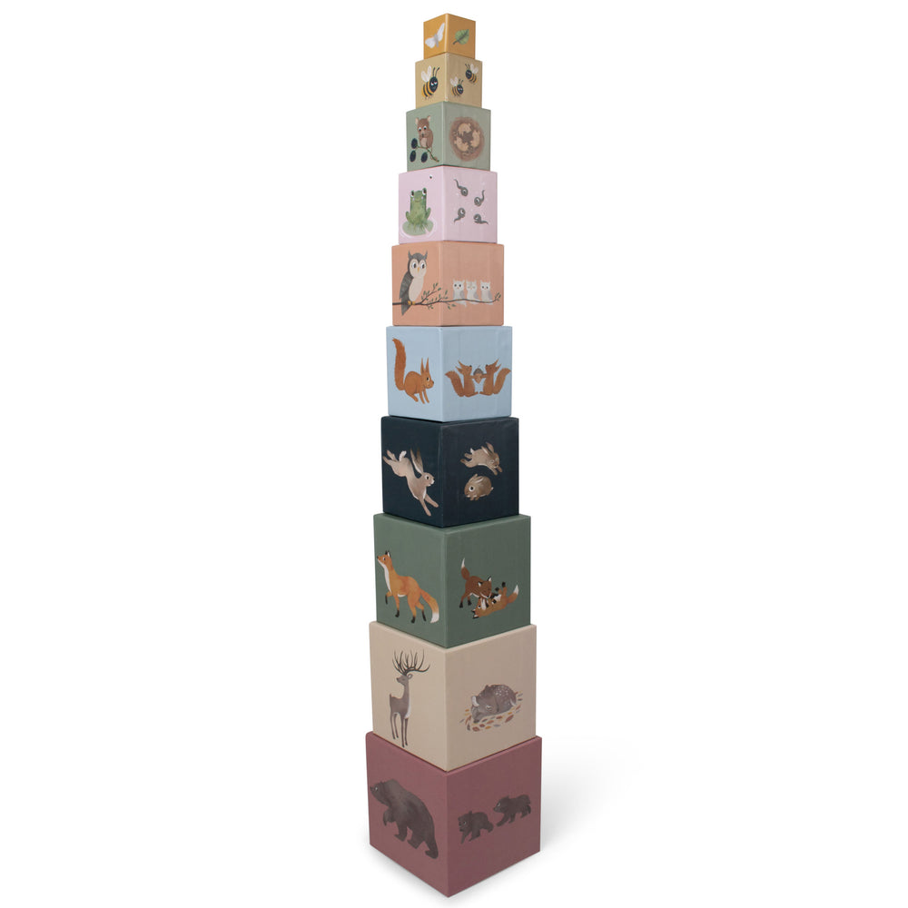 Cubes à empiler – Animaux nordiques