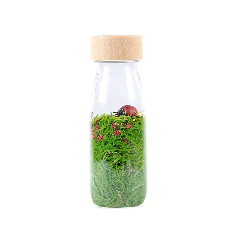 Bouteille sensorielle - Coccinelle